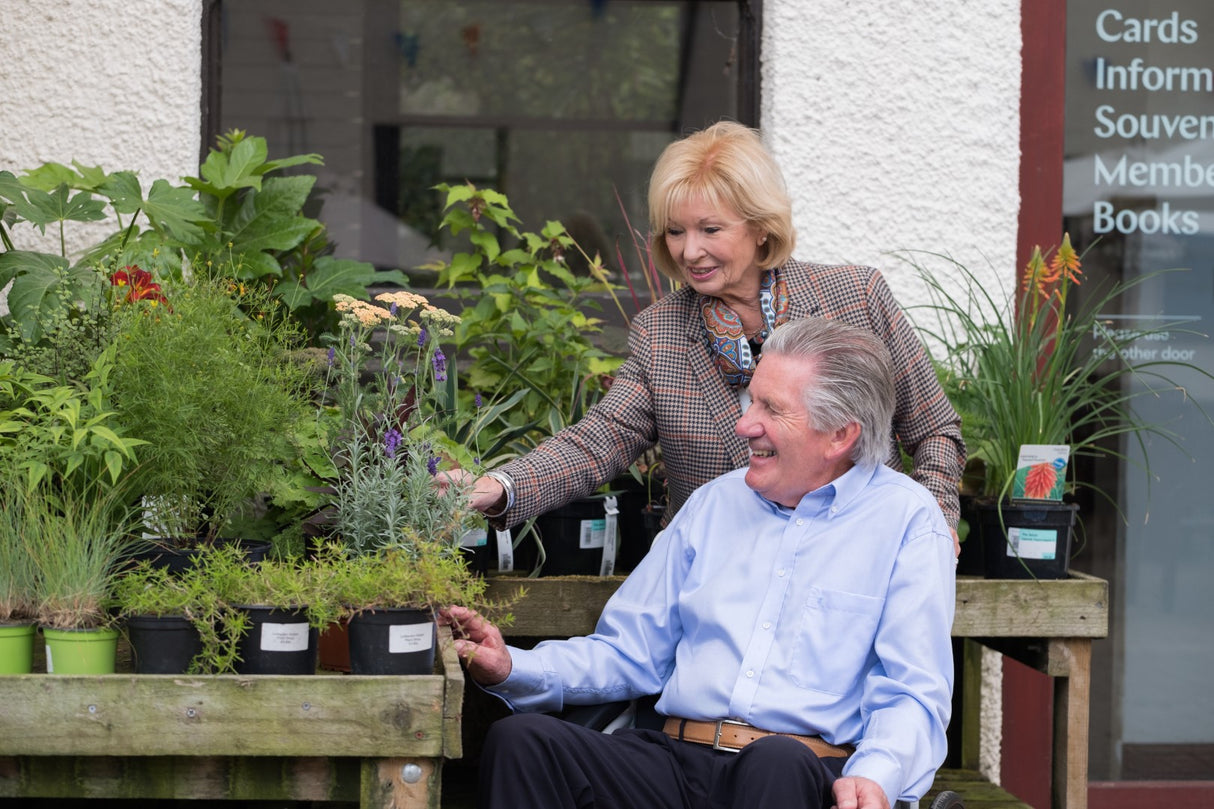 Excel G-Logic Self Propelled Wheelchair