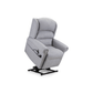 Sitting Pretty Dorchester Premier Rise and Recline Chair